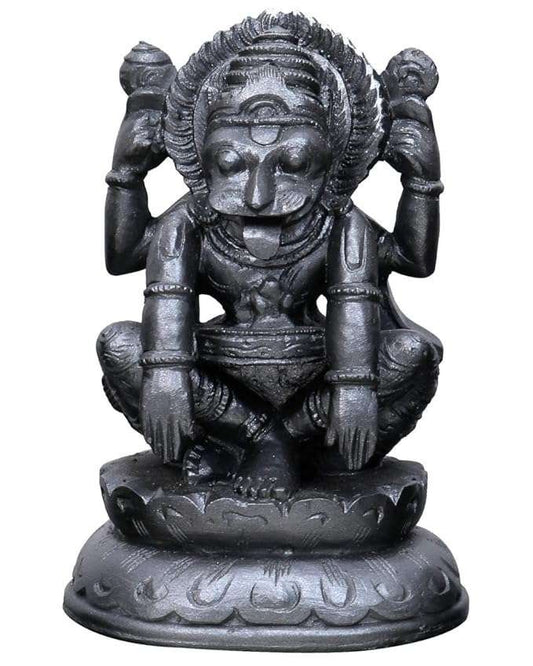 Large Narsimha Deva & Laxmi Ji On Lotus Base-Hindu God and Goddess Idol/Statue/Murti/Figurine(4.5")-Polyster Resin-Black